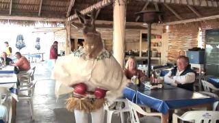 Yaqui Deer Dance San Carlos Sonora Mexico [upl. by Werra]