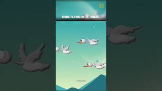 Birds fly in V shape shorts viralvideo trending [upl. by Thatcher]