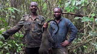 Histoire dune chasse  Cameroun [upl. by Ceil]