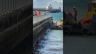 Singapores oil spill cleanup operations enter phase 2 [upl. by Eeresid271]