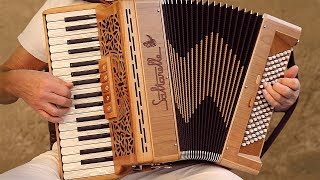 Italian Music TARANTELLA NAPOLETANA accordion Fisarmonica Akkordeonmusik Acordeon The Godfather [upl. by Aniretak]