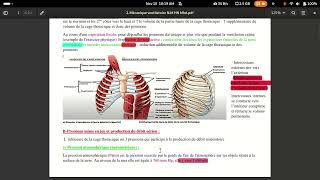 physiologie respiratoire mécanique ventilatoire [upl. by Berta]