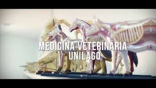 Medicina Veterinária Unilago [upl. by Kelci354]