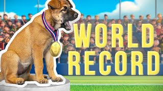 7wo Puppy Shatters World Record [upl. by Zenitram]