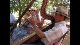 Traditional Paraguayan Harp Music [upl. by Hulton509]