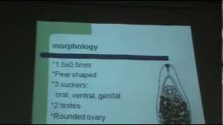 Drmona mahmoud  parasitology  Helminthology 3 [upl. by Klehm]