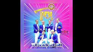 Los TAMA Boys quotBesarte Todaquot Arreglos musicales Fernando Herlindo compositor Maurilio Bañuelos [upl. by Vail]