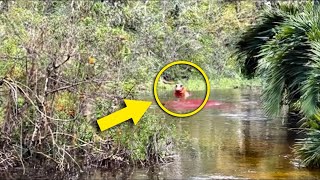 Drone Hace un Escalofriante Descubrimiento en un Río Nadie Debería Ver Esto [upl. by Wassyngton214]