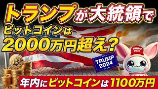 年内バブルくるぞ！！！ トランプ当選で大勝利！ １BTCが2000万円の仮想通貨バブル突入 [upl. by Moonier]