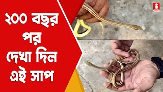 Sand Snake in Farakka ২০০ বছর এই সাপ দেখা দিল ফারাক্কায়  বিরল সাপ ছিল লুকিয়ে [upl. by Atiuqin]