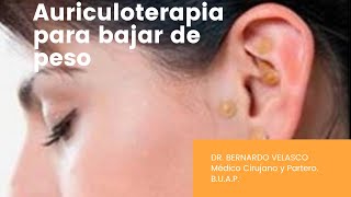 PUNTOS DE AURICULOTERAPIA PARA BAJAR DE PESO [upl. by Sarena]