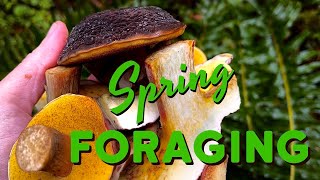 Spring Foraging PNW  Mushrooms Wild Edible Plants amp More [upl. by Livia]