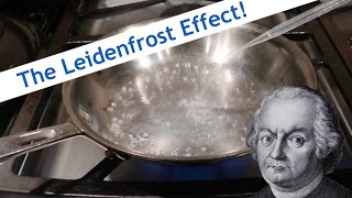 The Leidenfrost Effect [upl. by Malissa]