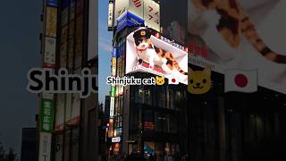 3D cat shinjuku japan travel [upl. by Bucher269]