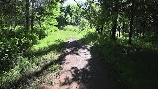 Hiking Tour of the Brumley Forest Nature Preserve  Hillsborough NC [upl. by Letsyrk218]