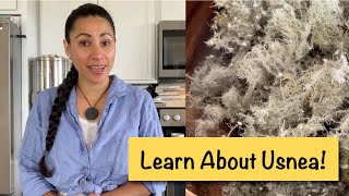 Usnea Identification Health Benefits and How to Use It [upl. by Elin738]