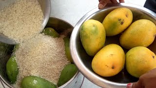 How To Ripen Mangoes in Rice మాడికాయలను మాగపెట్టడంRaw Mangoes Ripening in RiceMango Ripening Tips [upl. by Lib]