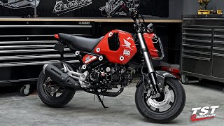 AllNew 2022 Honda Grom First Impressions [upl. by Jana]