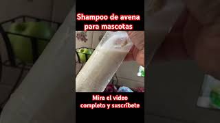 Shampoo de avena para mascotas perros saludcanina mascotas nutricioncanina [upl. by Hintze228]