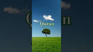 Quran pak Islamic video status shorts [upl. by Asyle]