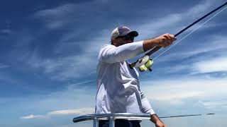 Homosassa Tarpon on Fly [upl. by Nolie144]