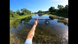 Fly fishing for BASS in FLORIDA ponds [upl. by Nork]