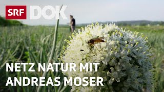 Landwirtschaft ohne Pestizide  NETZ NATUR mit Andreas Moser  DOK  SRF [upl. by Zilef]