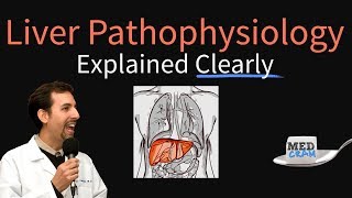 Liver Explained Clearly  Pathophysiology LFTs Hepatic Diseases [upl. by Avraham]