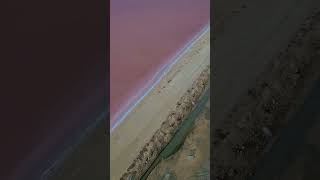 quotStunning Drone Shots Captivating Bonaires Salt Pier Flamingos amp Captain Dons Paradisequot [upl. by Willi]