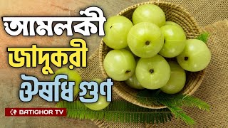 আমলকী যতো উপকারী পুষ্টিগুণ  Amloki  Amla  Bangla news [upl. by Akirdnuhs144]