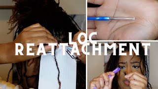 Reattaching Locs Using Crochet Needle  DIY Microlocs [upl. by Akerahs]