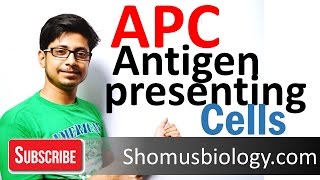 Antigen presenting cells APC [upl. by Ailhad]