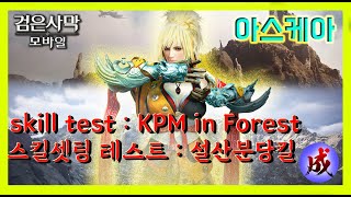 검은사막M 아스케아  설산사냥 최적스킬찾기  분당킬 [upl. by Assenov430]