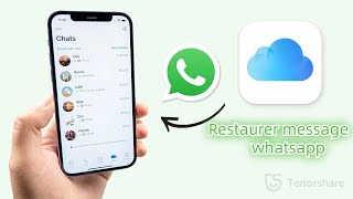 3 Façons Comment restaurer les discussions WhatsApp à partir diCloud [upl. by Llenaj]