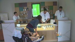 South Floridas 2nd Medical Marijuana Dispensary Opens [upl. by Gnehs777]