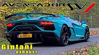 Lamborghini Aventador SVJ Gintani  334KMH 209MPH REVIEW on AUTOBAHN [upl. by Ellekcim]