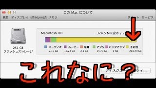 Macのストレージその他って何！レンダリングファイルを削除してみよう [upl. by Amimej]