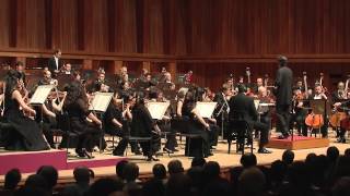 Brahms Symphony No 4  1st Movement [upl. by Farhi771]