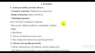 Prostatitis [upl. by Kilan]