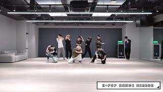 NCT 127  Sticker Dance Practice Mirrored [upl. by Enirhtac]