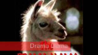 The Llama Song [upl. by Grearson]