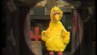 Sesame Street  Big Bird and the gang sings about the number 4 Four [upl. by Inittirb774]