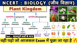 Plant Kingdom  पादप जगत का वर्गीकरण  Padap jagat  Botany  Study vines official [upl. by Siahc]