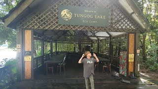 Kinabatangan River Borneo Rain Forset at Tungog Lake Eco Camp August 2024 [upl. by Stryker697]