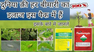 streptocyclin fungicide  streptocyclin use in agriculture in hindi  streptocyclin ke fayde [upl. by Oirram]