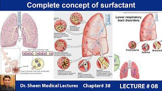 Complete concept of surfactant CHAPTER  38 LECTURE  8 [upl. by Coben]