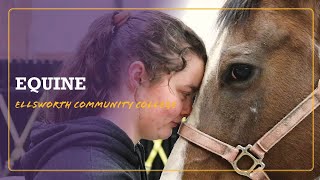 Welcome to EquineEllsworth Community College [upl. by Erinn]