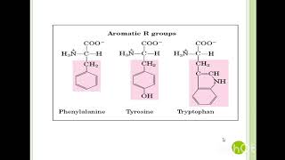 Structure and Classification of Amino acid [upl. by Eznyl571]