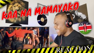 Kaa Na Mamayako  Benzema X Dmore X Nellythegoon REACTION [upl. by Airalav597]