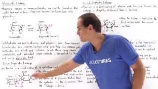 Glycosidic Bonds and Nonreducing Sugars [upl. by Chuipek511]